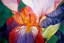 Iris. 2015. oil on canvas 60x50 cm