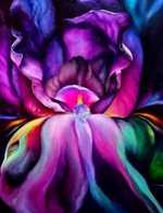 Iris. 2017. Oil on canvas 70x50 cm